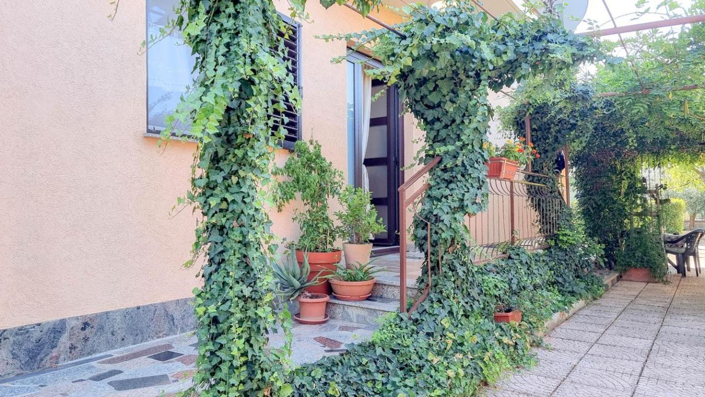 Apartments Maria Novigrad Istria Buitenkant foto